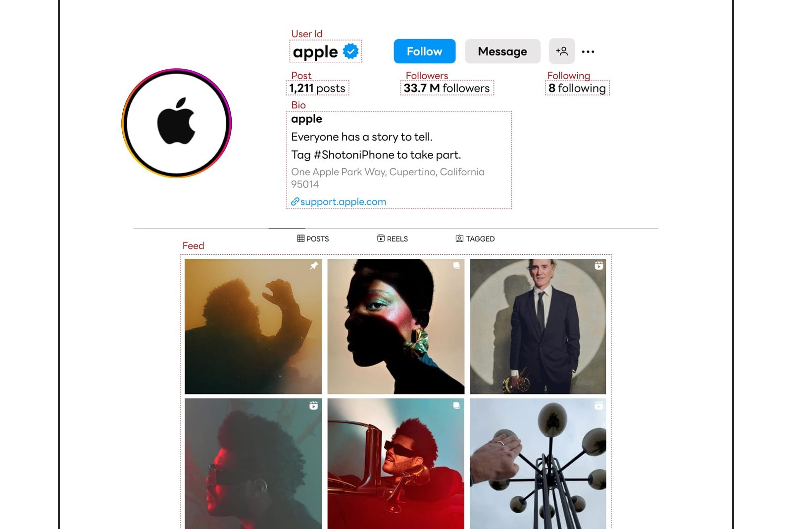 Social Media Posts and Content Extraction